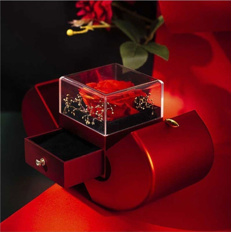 Eternal Love Necklace with Apple Gift Box
