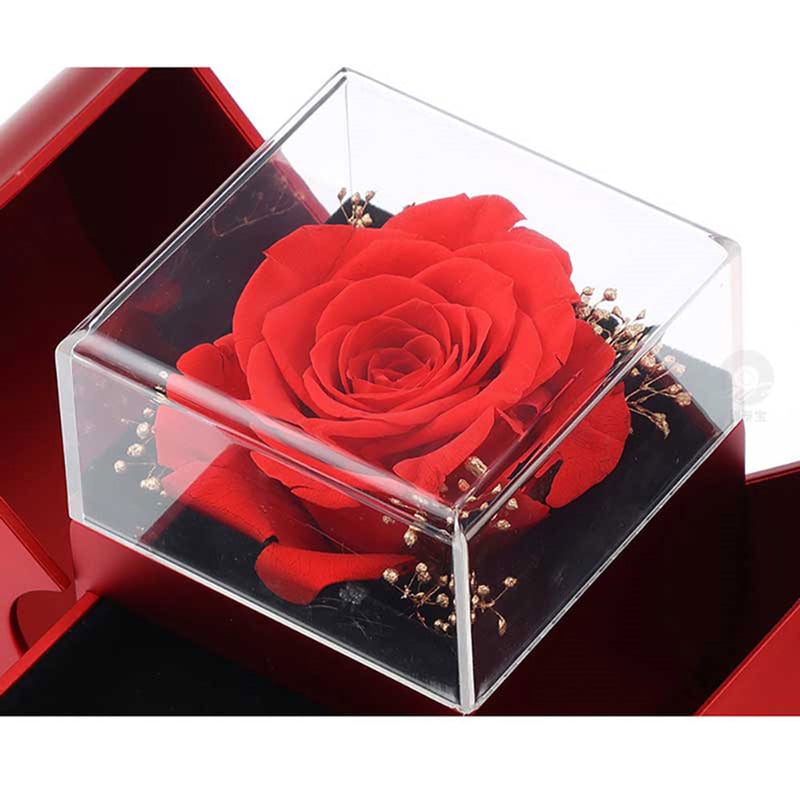 Eternal Love Necklace with Apple Gift Box